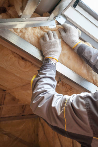 Best Wall Insulation Installation  in St Petersburg, FL